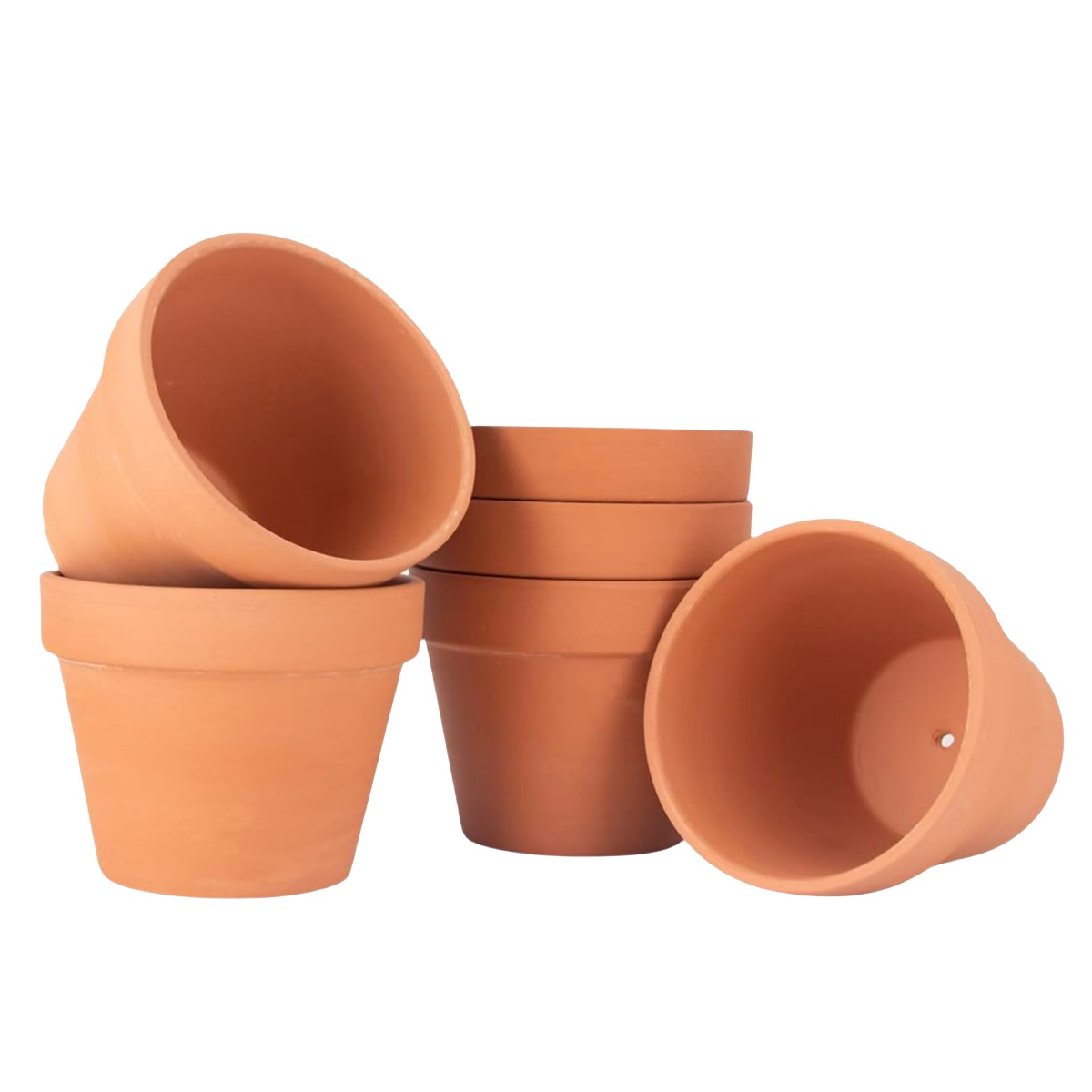 Cactus Mix Pot - 6pcs 4 인치 테라코타 냄비 꽃