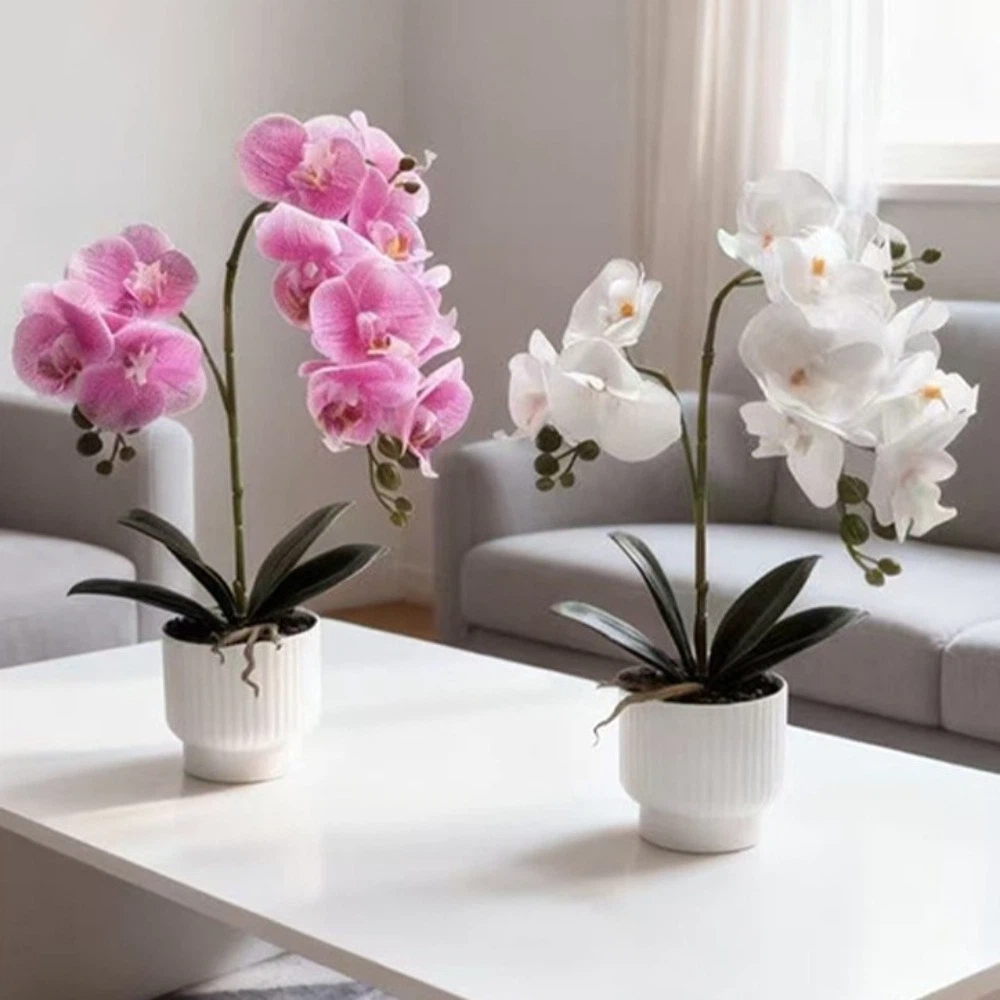 Orchid Phalaenopsis - 멀티 블룸 시뮬레이션 나비 난초 DIY