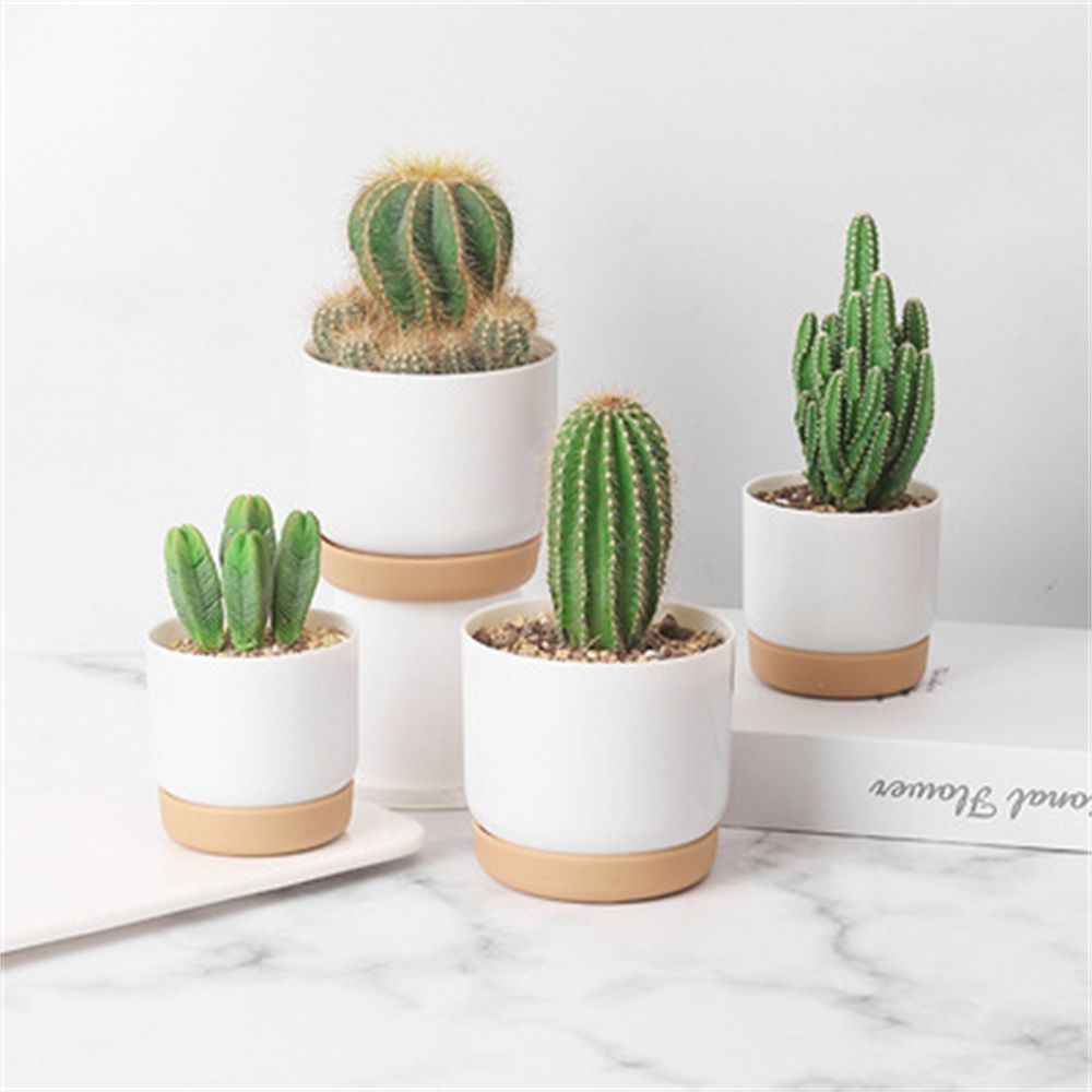 Cactus Mix Pot - 둥근 선인장 다육 식물 정원 용품