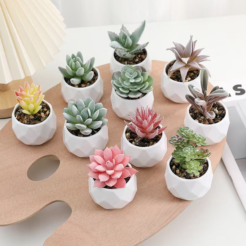 Cactus Mix Pot - 미니 인공 식물 시뮬레이션 상록수 즙이