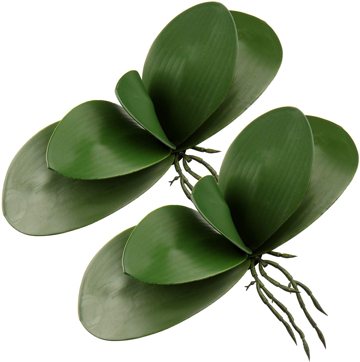 Orchid Phalaenopsis - 인공 호접란 잎, 리얼 라텍스 터치