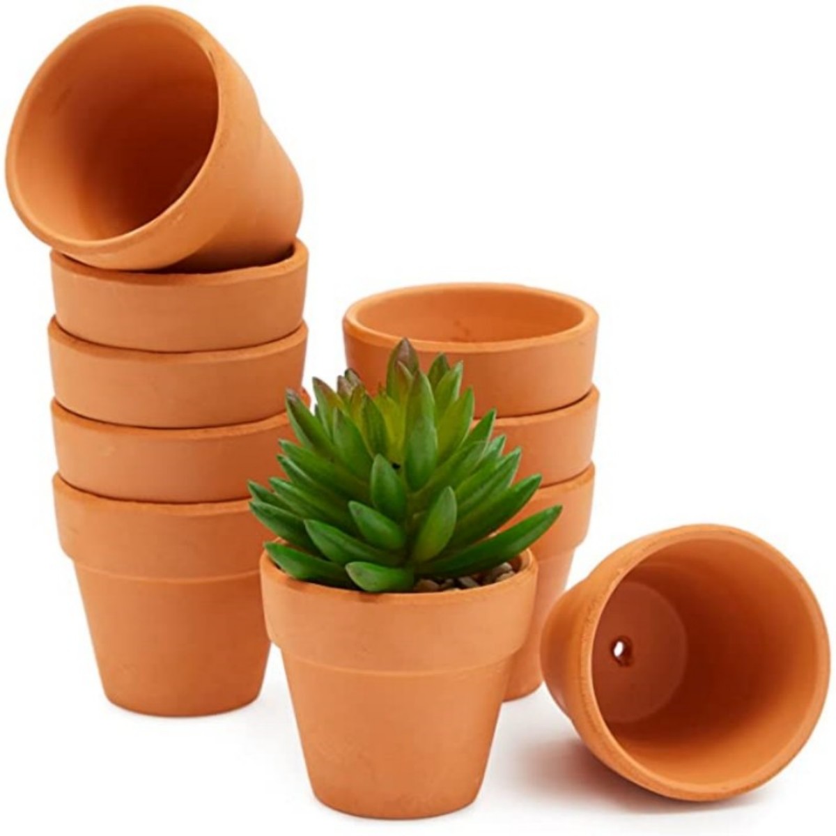 Cactus Mix Pot - 16 Pcs 1.8 ''테라 코타 냄비