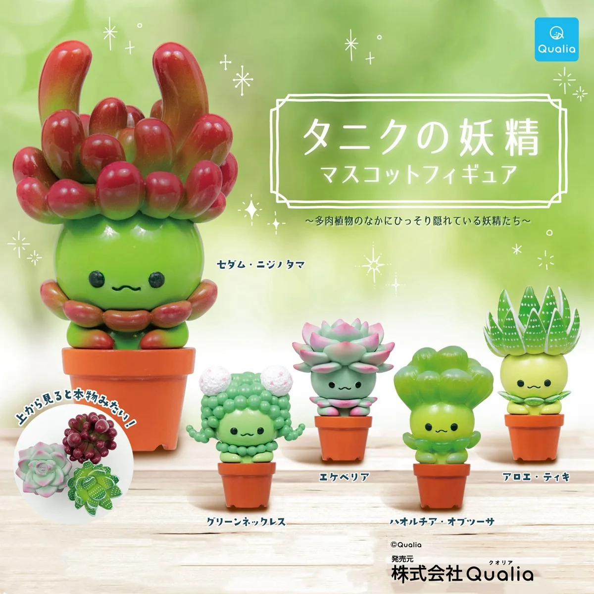 Cactus Mix Pot - 오리지널 QUALIA Kawaii Gashapon 피규어 귀여운