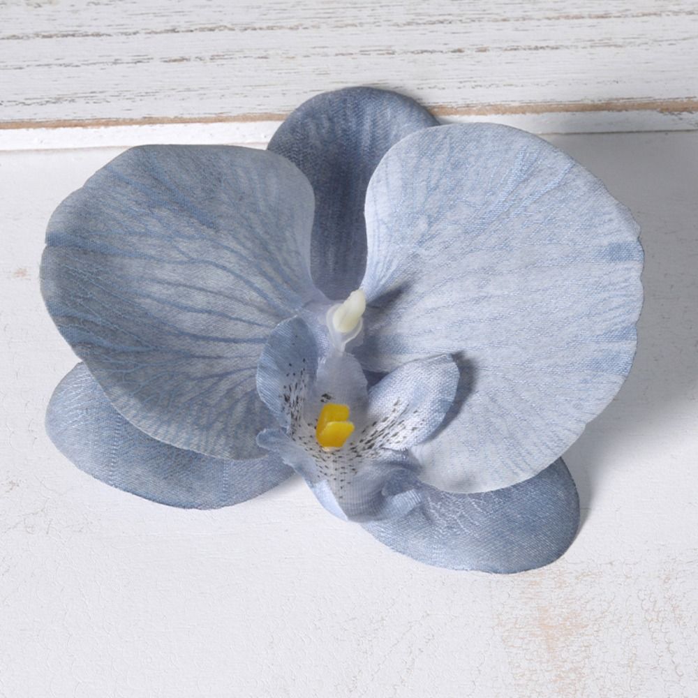 Orchid Phalaenopsis - DIY 팔레놉시스 꽃 머리 11cm 사랑스러운