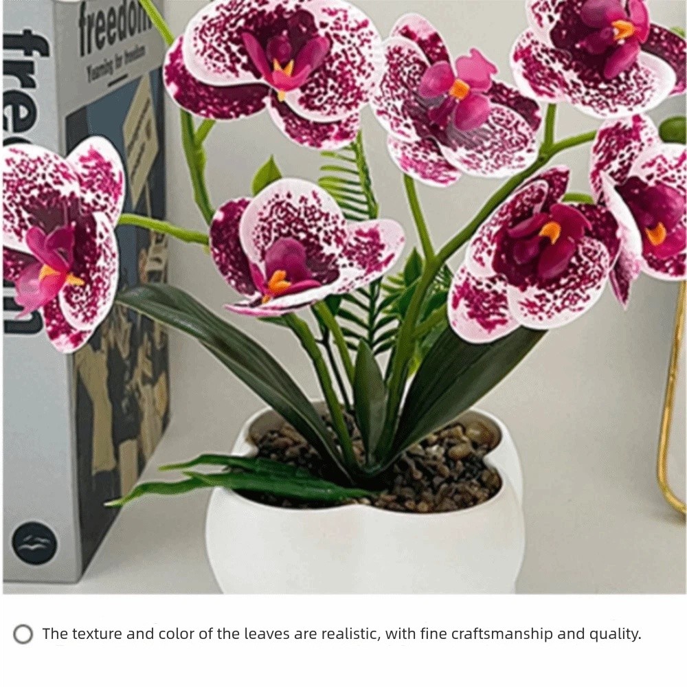 Orchid Phalaenopsis - 멀티 블룸 시뮬레이션 나비 난초 DIY