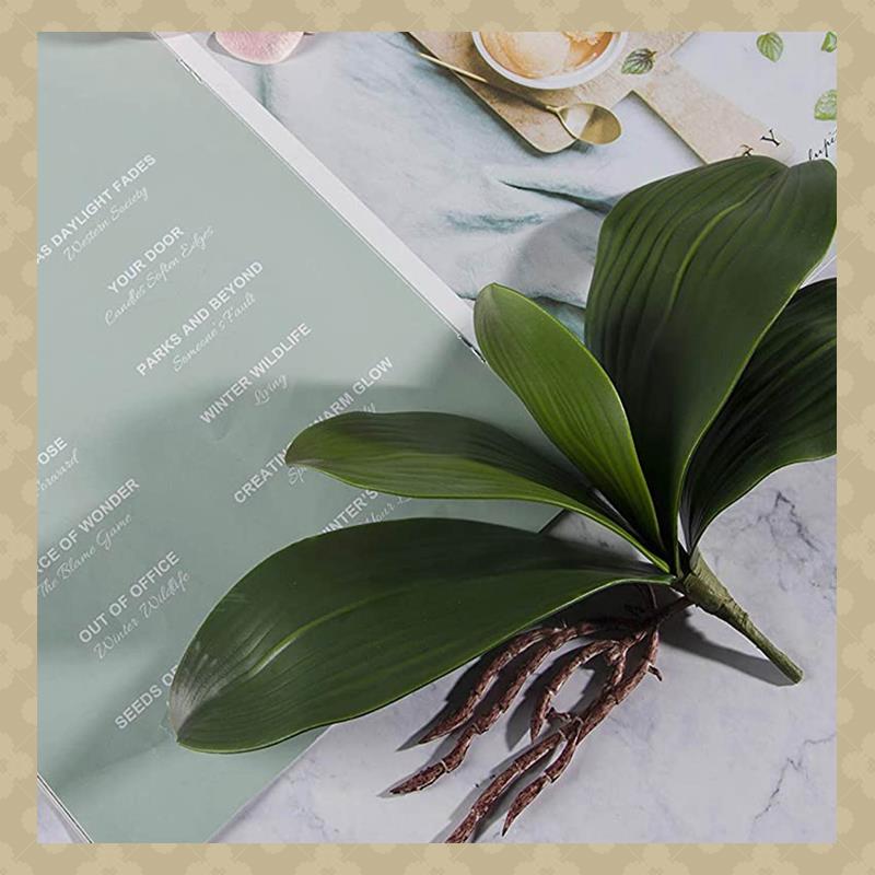 Orchid Phalaenopsis - AB45 호접란 잎 인공 실제 뿌리