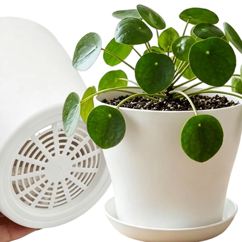 Cactus Mix Pot - 배수구와 어울리는 받침대가 있는 화분 세트,