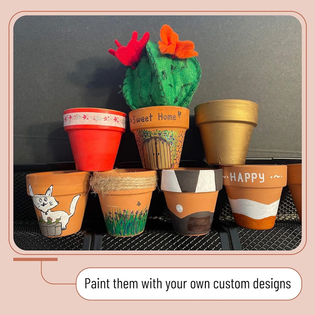 6pcs 4 인치 테라코타 냄비 꽃 냄비 배수 구멍이있 - Cactus Mix Pot 리뷰 및 가격