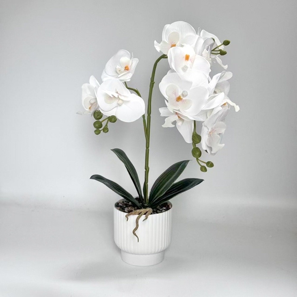 멀티 블룸 시뮬레이션 나비 난초 DIY 화이트 화분 인 - Orchid Phalaenopsis 리뷰 및 가격
