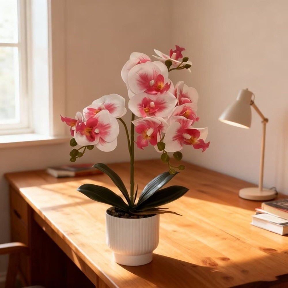 멀티 블룸 시뮬레이션 나비 난초 DIY 화이트 화분 인 - Orchid Phalaenopsis 리뷰 및 가격