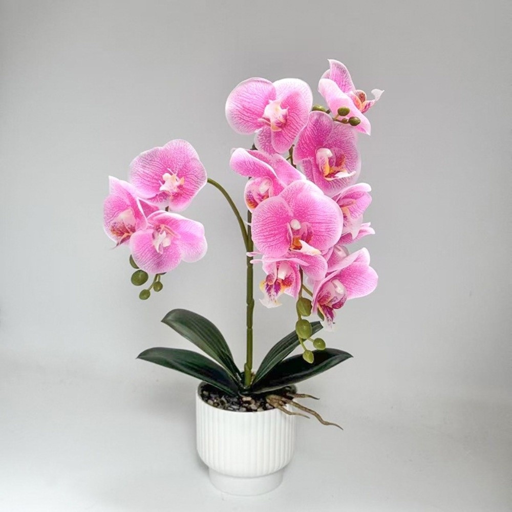 멀티 블룸 시뮬레이션 나비 난초 DIY 화이트 화분 인 - Orchid Phalaenopsis 리뷰 및 가격