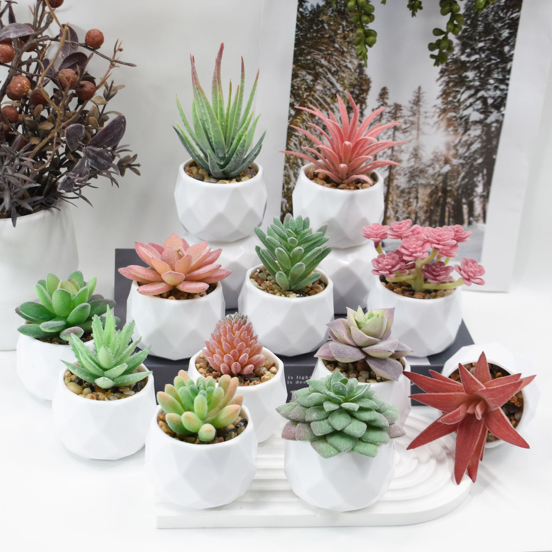 미니 인공 식물 시뮬레이션 상록수 즙이 많은 선인장 플 - Cactus Mix Pot 리뷰 및 가격