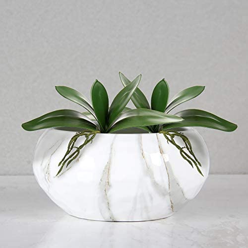 인공 호접란 잎, 리얼 라텍스 터치 식물 배열, 가짜  - Orchid Phalaenopsis 리뷰 및 가격
