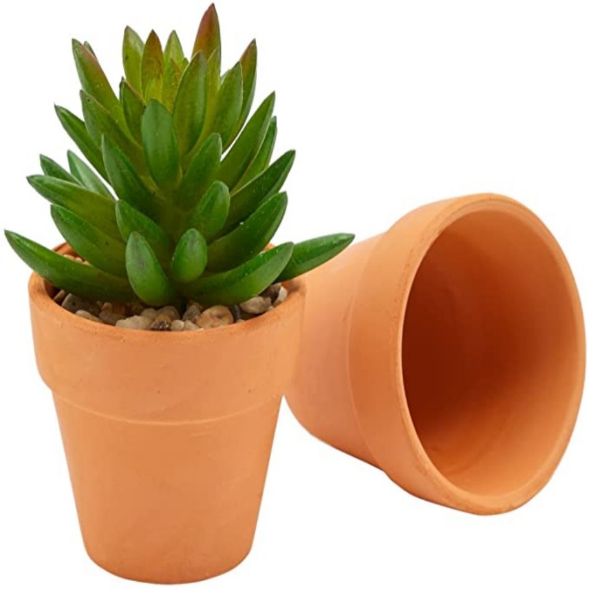 16 Pcs 1.8 ''테라 코타 냄비 도자기 화분 선 - Cactus Mix Pot 리뷰 및 가격