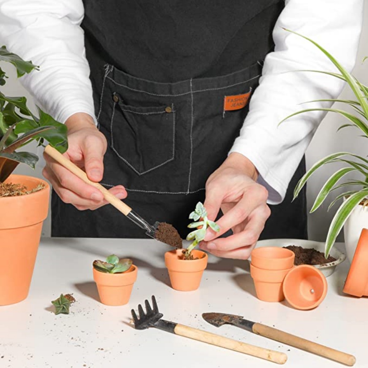 16 Pcs 1.8 ''테라 코타 냄비 도자기 화분 선 - Cactus Mix Pot 리뷰 및 가격