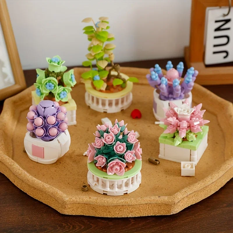 블록 시티 DIY 화분 식물 다육 식물 선인장 안개꽃  - Cactus Mix Pot 리뷰 및 가격