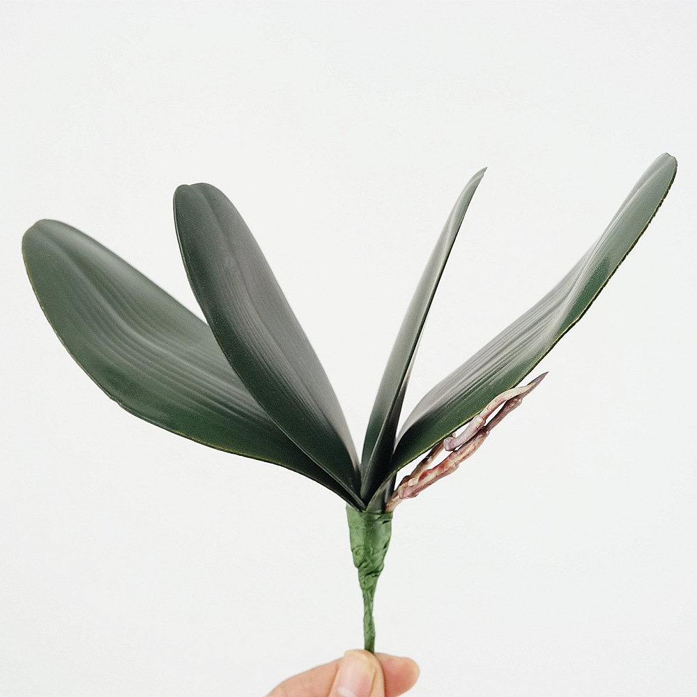 3pc Eva 시뮬레이션 호접란 잎 난초 꽃 잎 꽃꽂이 - Orchid Phalaenopsis 리뷰 및 가격