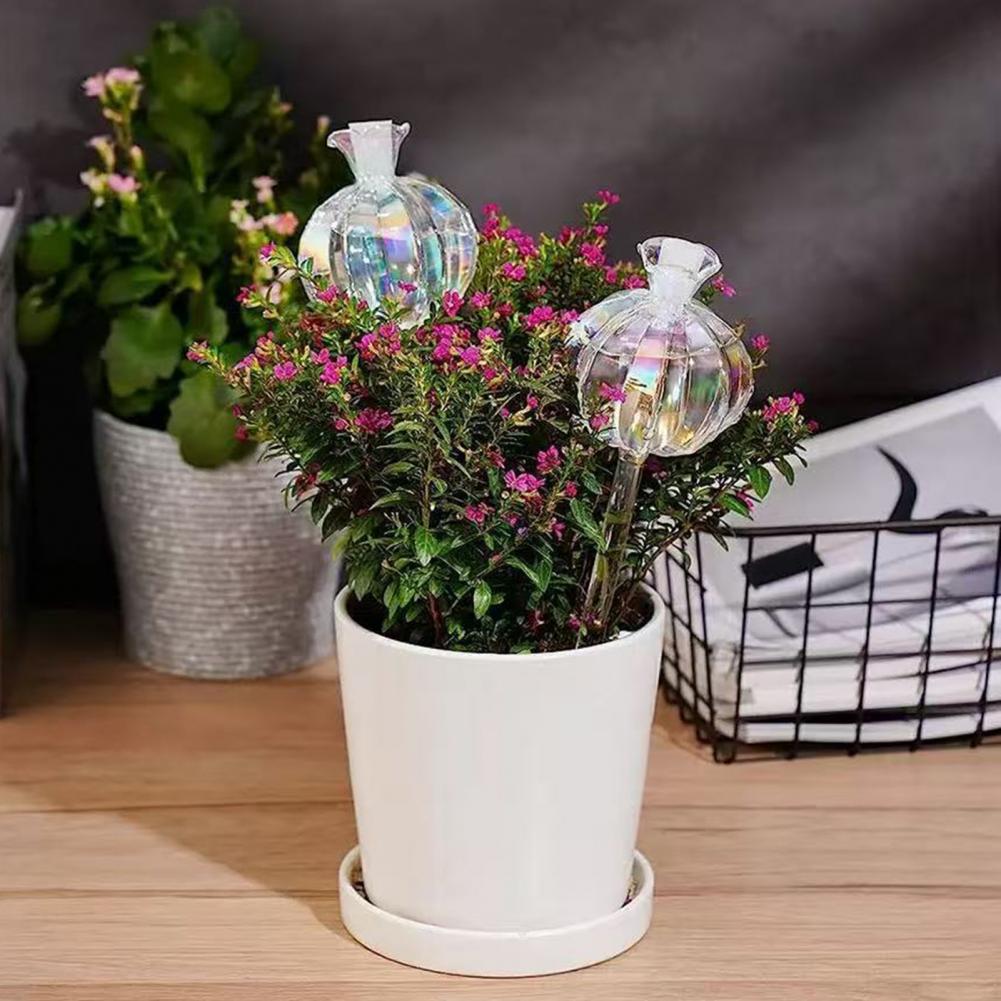24cm 선인장 자동 급수 벌브 플랜터 인서트 자동화된 - Cactus Mix Pot 리뷰 및 가격