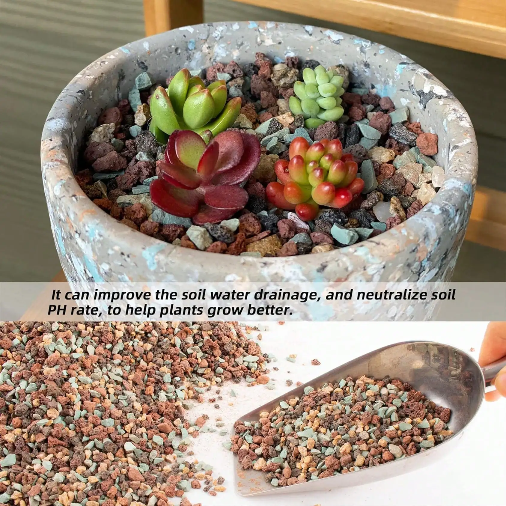 혼합 원예용 용암석 자갈 부석 화분 토양 개량제 다육식 - Cactus Mix Pot 리뷰 및 가격