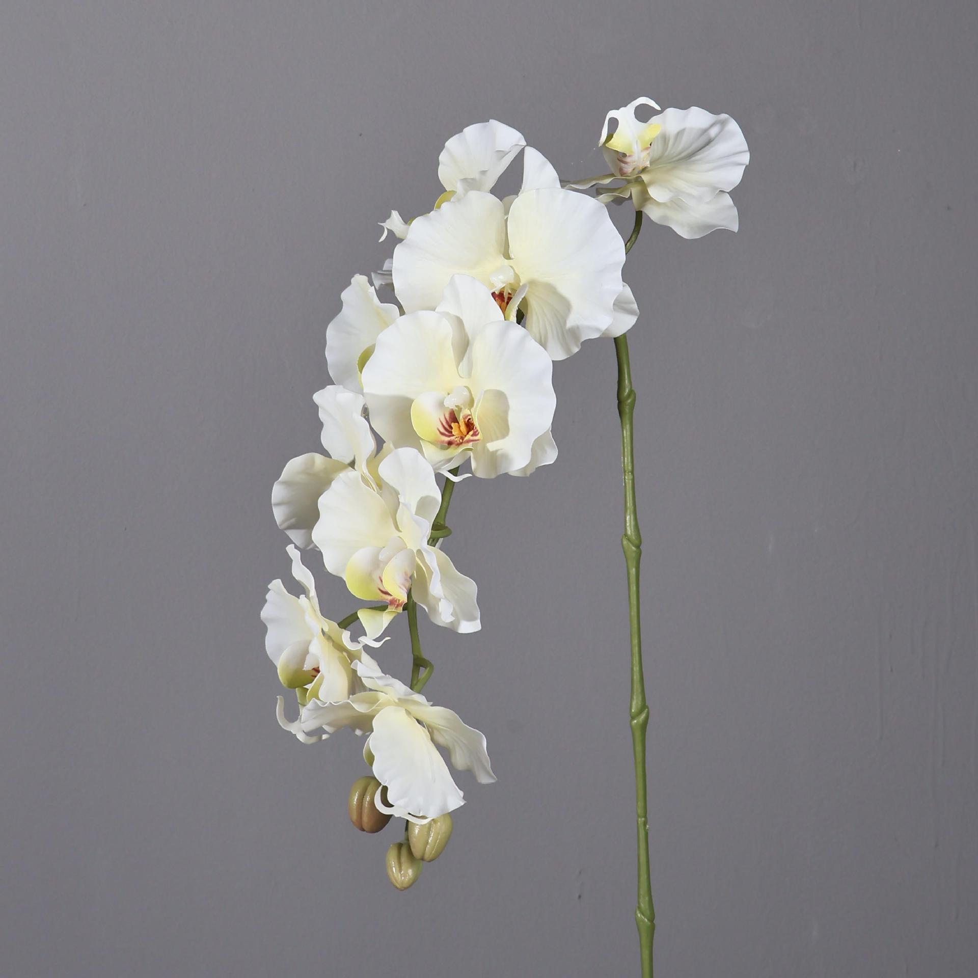 38.6인치 9송이 한국 스타일 인조 팔라에노프시스 홈 - Orchid Phalaenopsis 리뷰 및 가격
