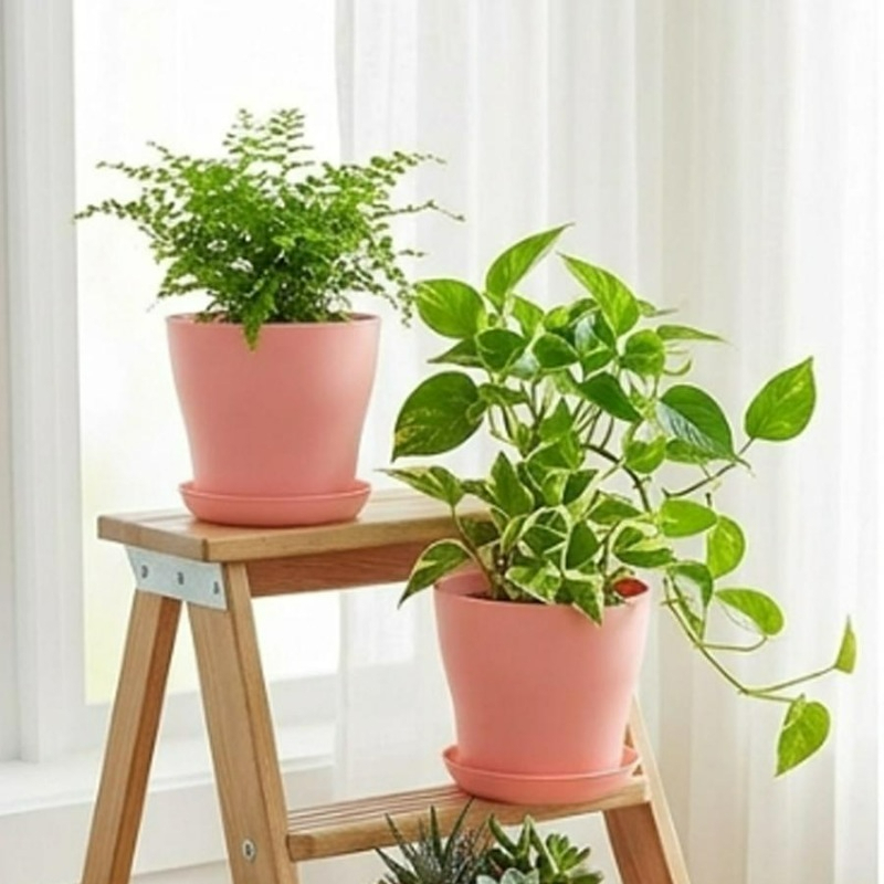 배수구와 어울리는 받침대가 있는 화분 세트, PP 레진 - Cactus Mix Pot 리뷰 및 가격